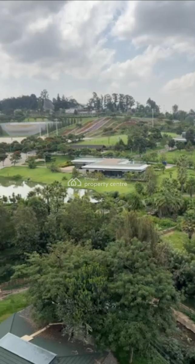 Luxuary 2&3bedrooms Apsrtments, Friendship Park, Arada, Addis Ababa, Apartment for Sale