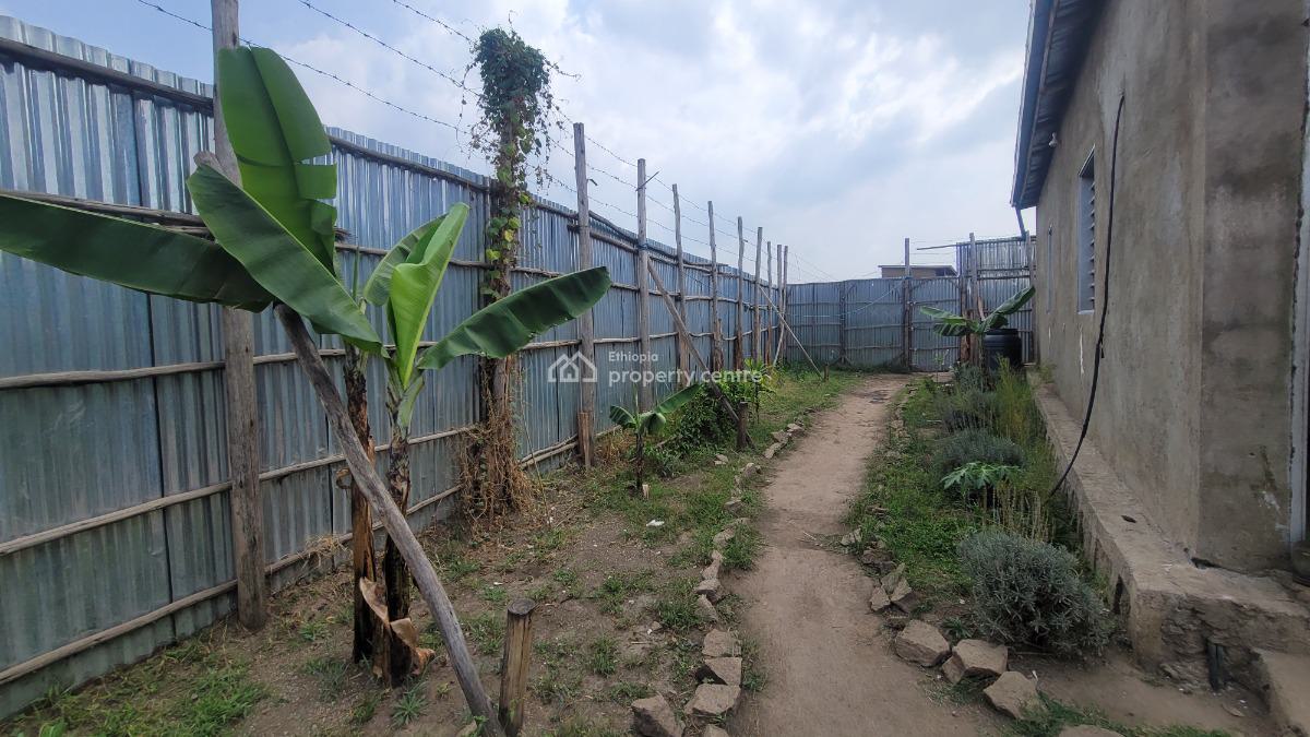 Residential & Business Opportunity in Shashemene, Shashemene, Shewa, Oromia, Detached Bungalow for Sale