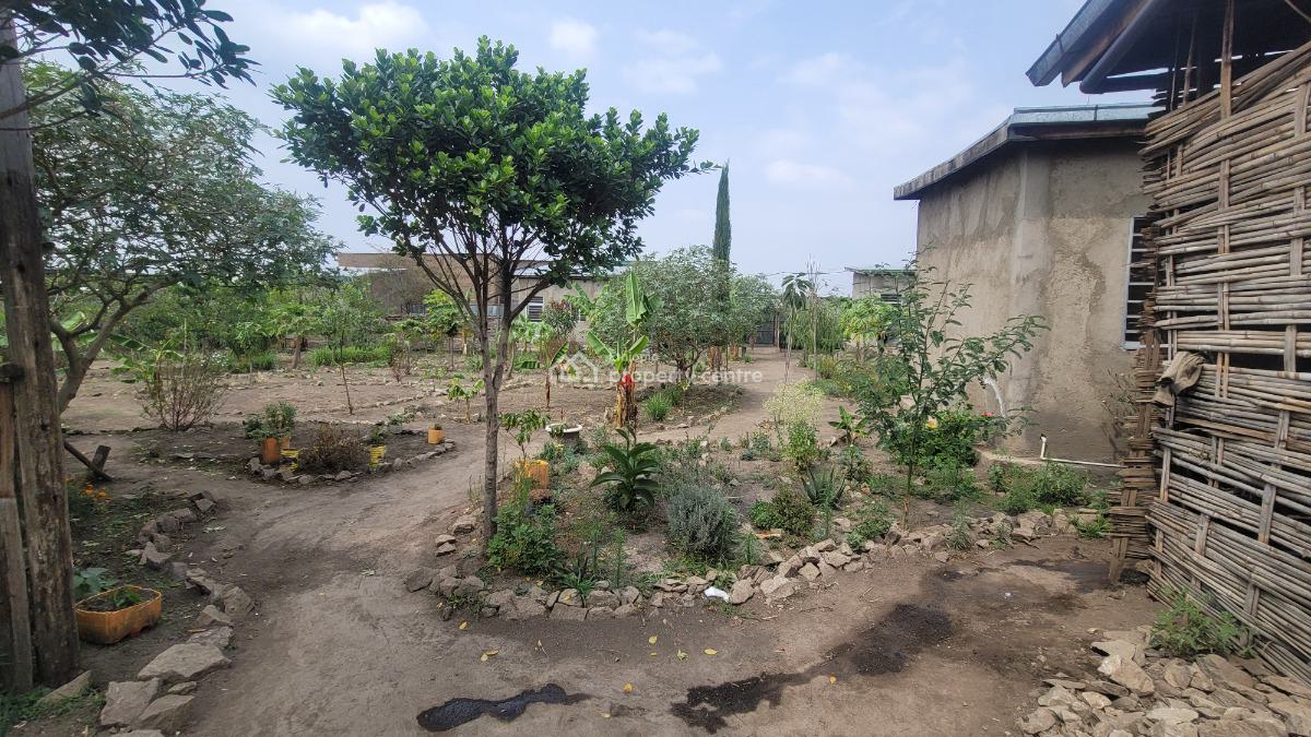 Residential & Business Opportunity in Shashemene, Shashemene, Shewa, Oromia, Detached Bungalow for Sale
