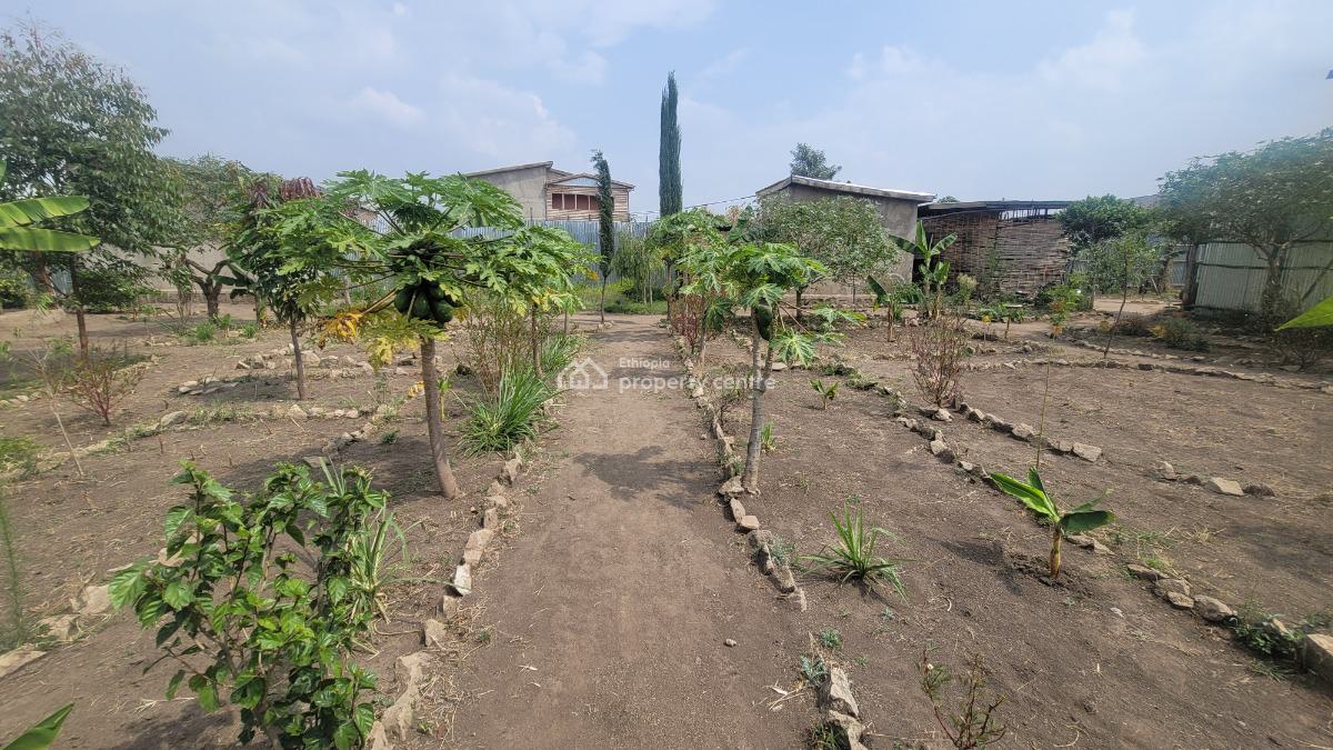 Residential & Business Opportunity in Shashemene, Shashemene, Shewa, Oromia, Detached Bungalow for Sale