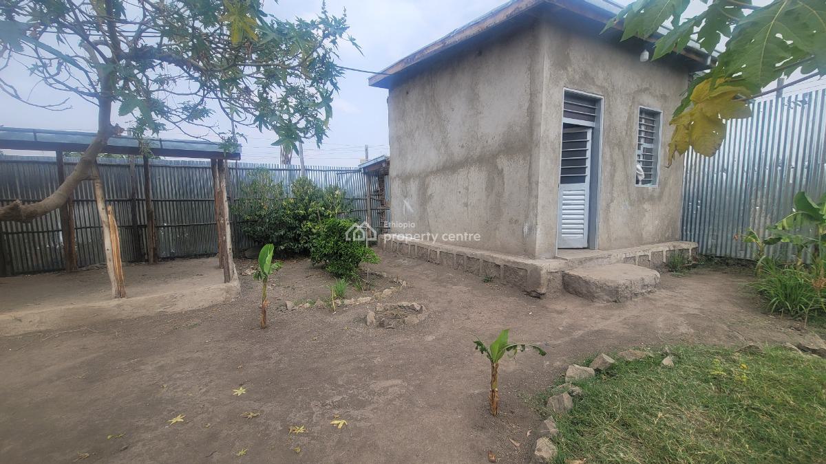 Residential & Business Opportunity in Shashemene, Shashemene, Shewa, Oromia, Detached Bungalow for Sale