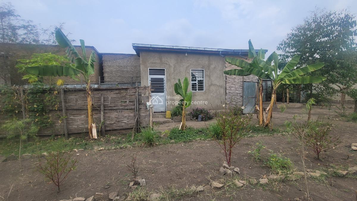 Residential & Business Opportunity in Shashemene, Shashemene, Shewa, Oromia, Detached Bungalow for Sale
