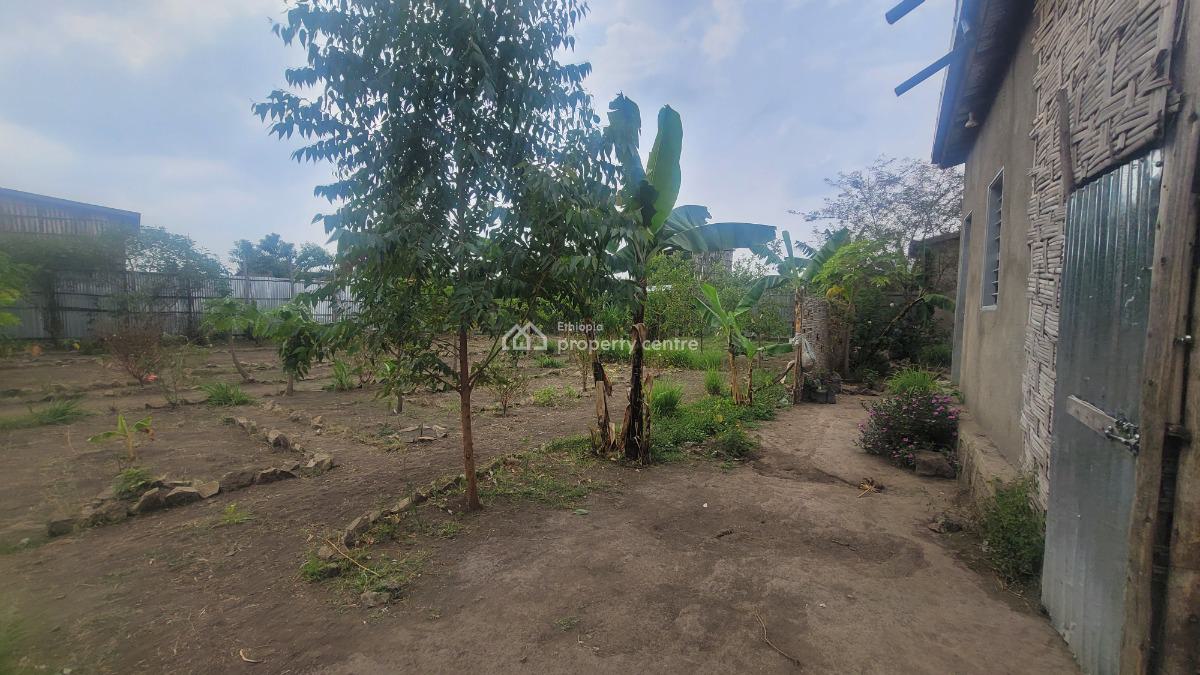Residential & Business Opportunity in Shashemene, Shashemene, Shewa, Oromia, Detached Bungalow for Sale