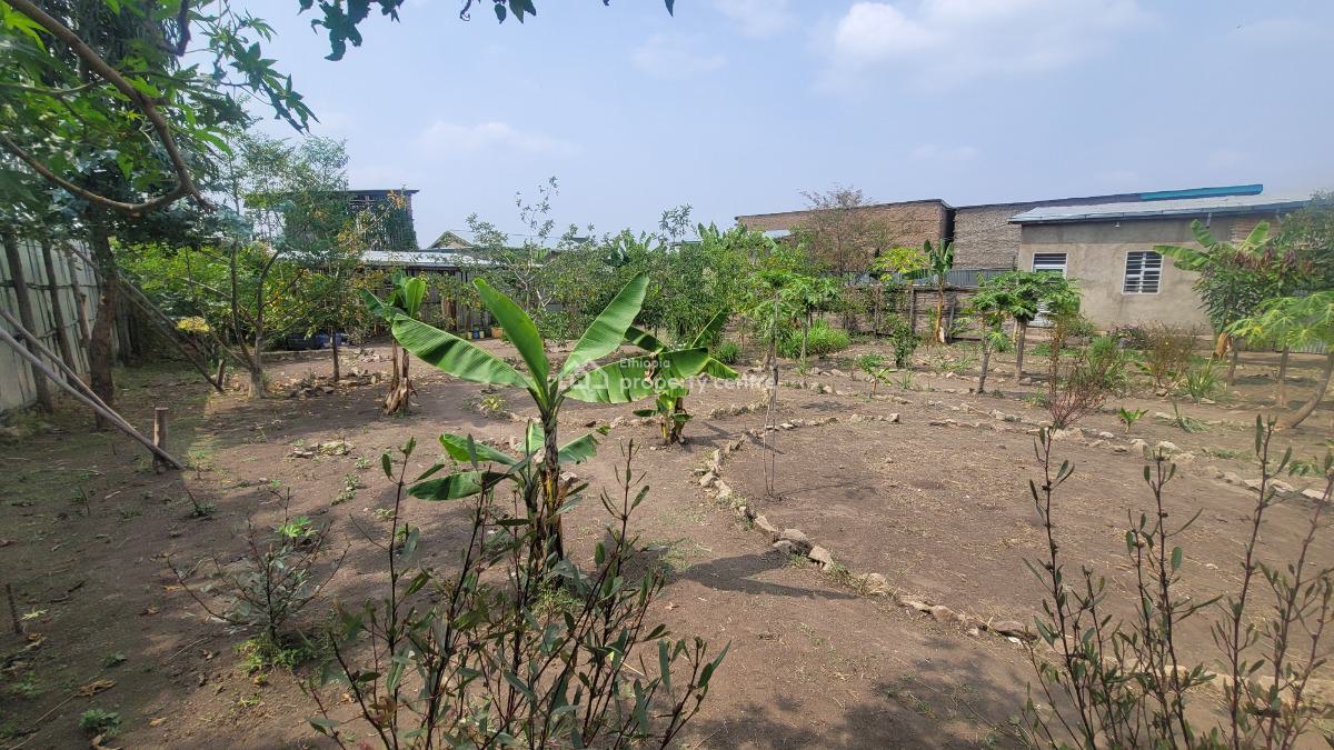 Residential & Business Opportunity in Shashemene, Shashemene, Shewa, Oromia, Detached Bungalow for Sale