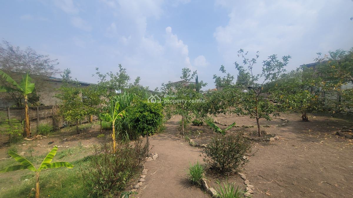 Residential & Business Opportunity in Shashemene, Shashemene, Shewa, Oromia, Detached Bungalow for Sale