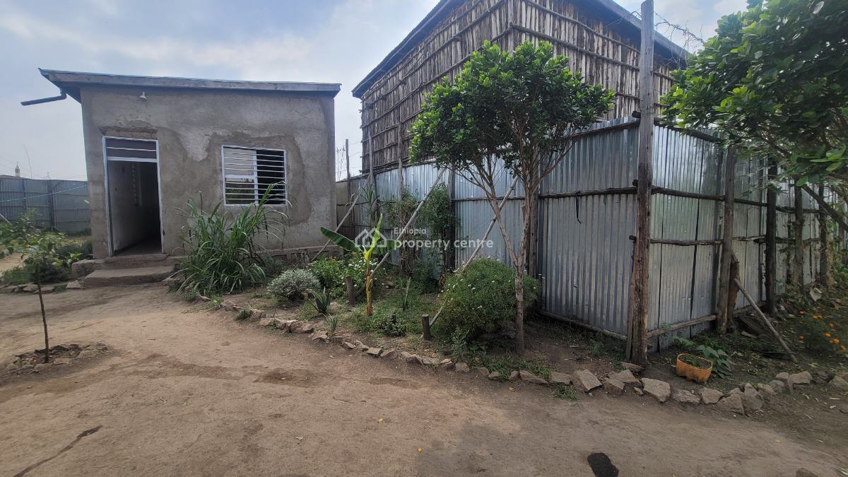 Residential & Business Opportunity in Shashemene, Shashemene, Shewa, Oromia, Detached Bungalow for Sale