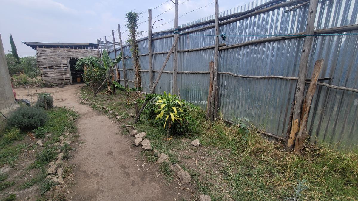 Residential & Business Opportunity in Shashemene, Shashemene, Shewa, Oromia, Detached Bungalow for Sale