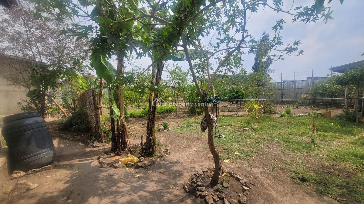 Residential & Business Opportunity in Shashemene, Shashemene, Shewa, Oromia, Detached Bungalow for Sale