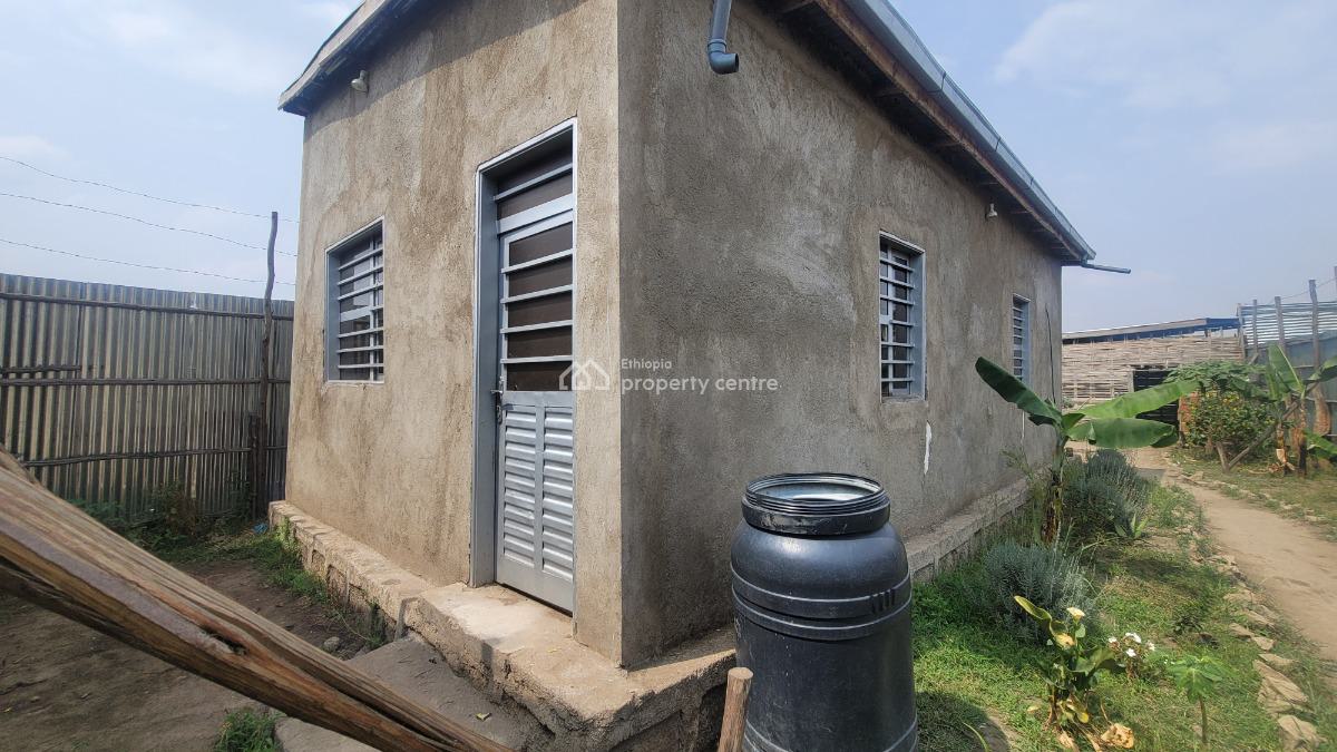 Residential & Business Opportunity in Shashemene, Shashemene, Shewa, Oromia, Detached Bungalow for Sale