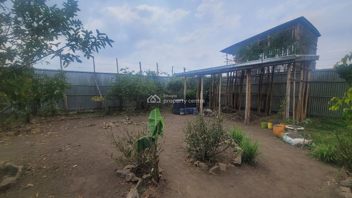 Residential & Business Opportunity in Shashemene, Shashemene, Shewa, Oromia, Detached Bungalow for Sale