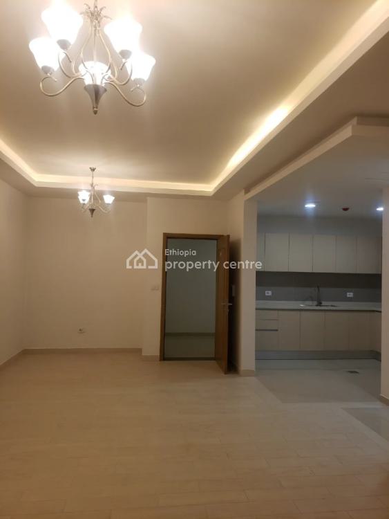 Serviced Apartments for Rent in Addis Ababa Ethiopia Property Centre