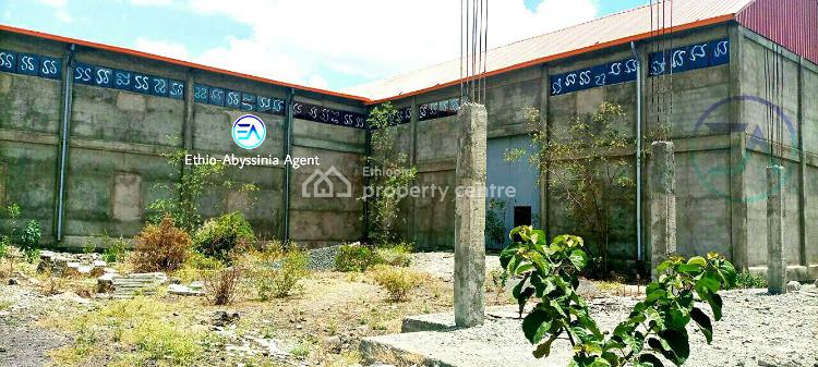 Warehouse, Gelan, Akaky Kaliti, Addis Ababa, Warehouse for Sale