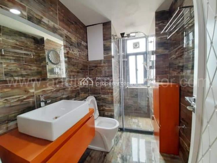 City Skyline Views: High-end Apartment Bole, Bole, Addis Ababa, Apartment for Rent