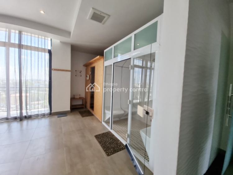 Luxurious Two-bedroom Apartment Available, Kirkos, Addis Ababa, Apartment for Rent