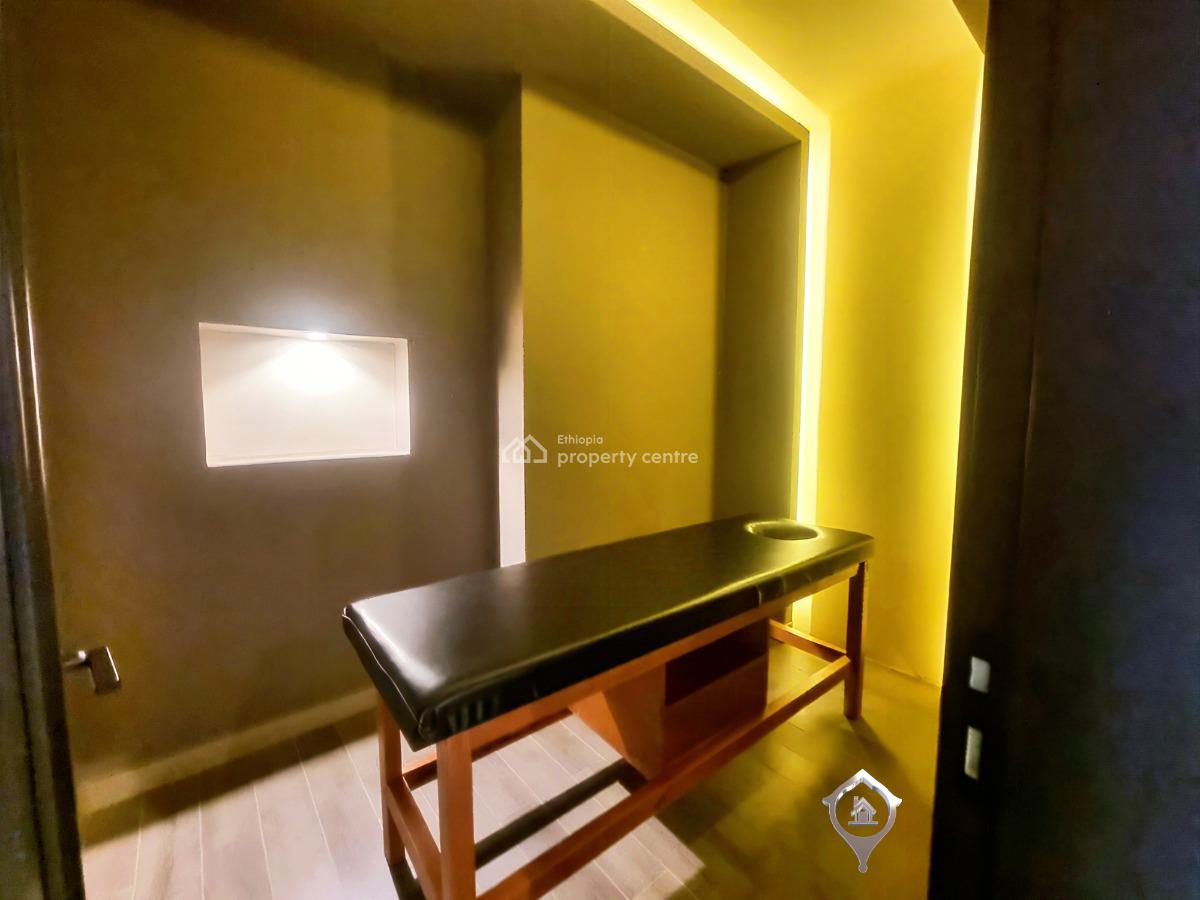 Luxurious Apartment with Sparkling Pool at Kirkos, Kirkos, Addis Ababa, Apartment for Rent
