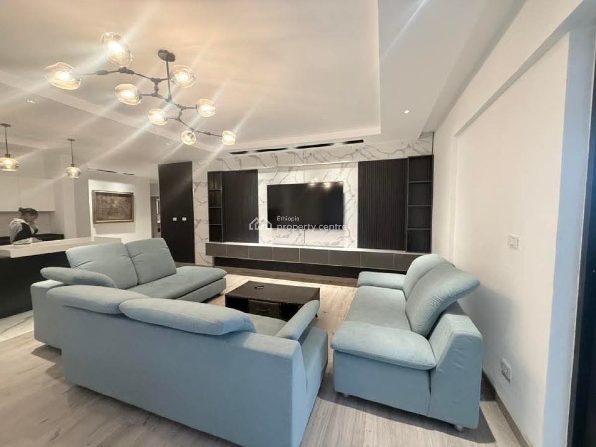 Luxury Furnished Apartment in Bole -- Long-term Only, Bole, Addis Ababa, Apartment for Rent