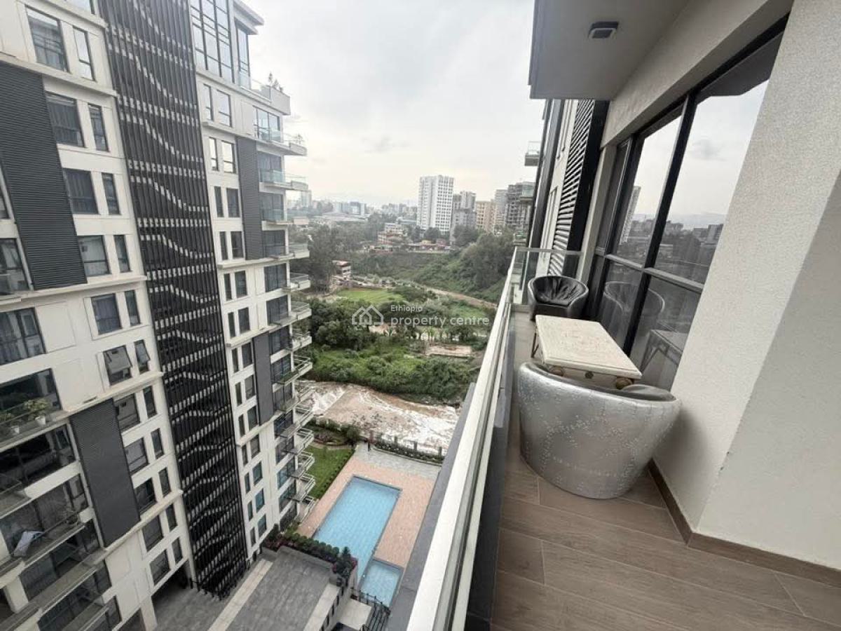 Luxury Furnished Apartment in Bole -- Long-term Only, Bole, Addis Ababa, Apartment for Rent