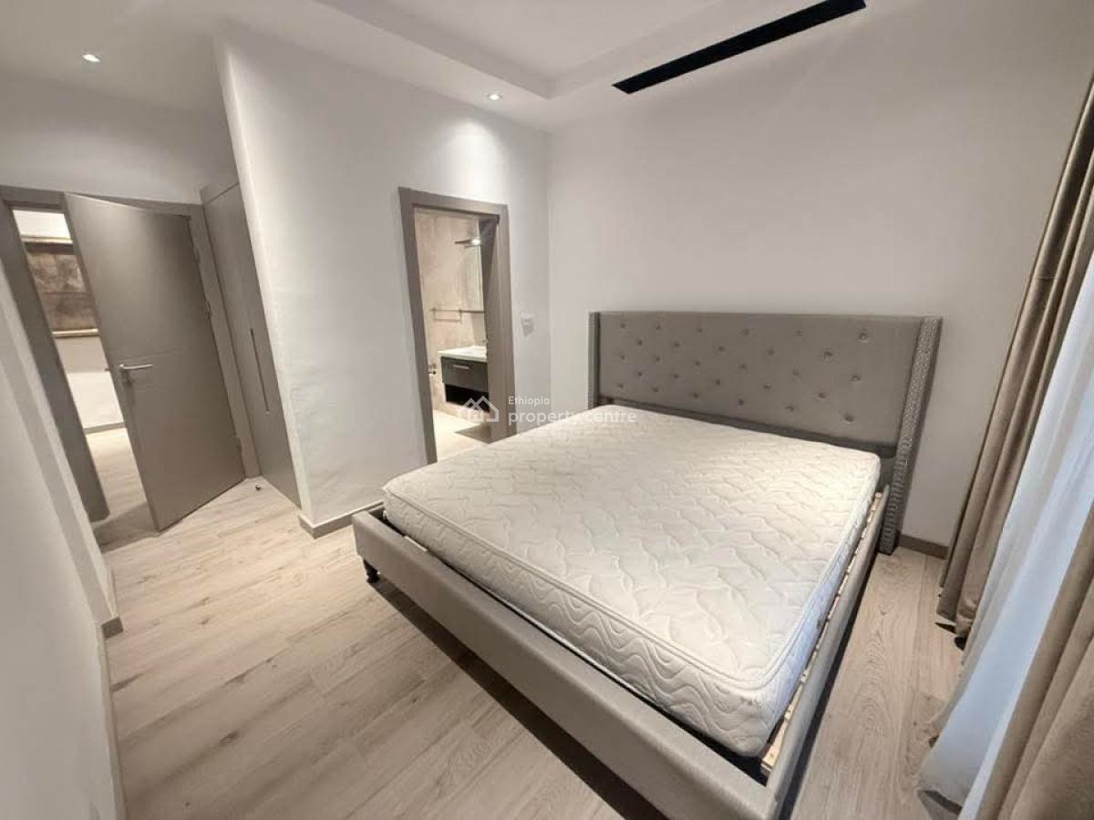 Luxury Furnished Apartment in Bole -- Long-term Only, Bole, Addis Ababa, Apartment for Rent