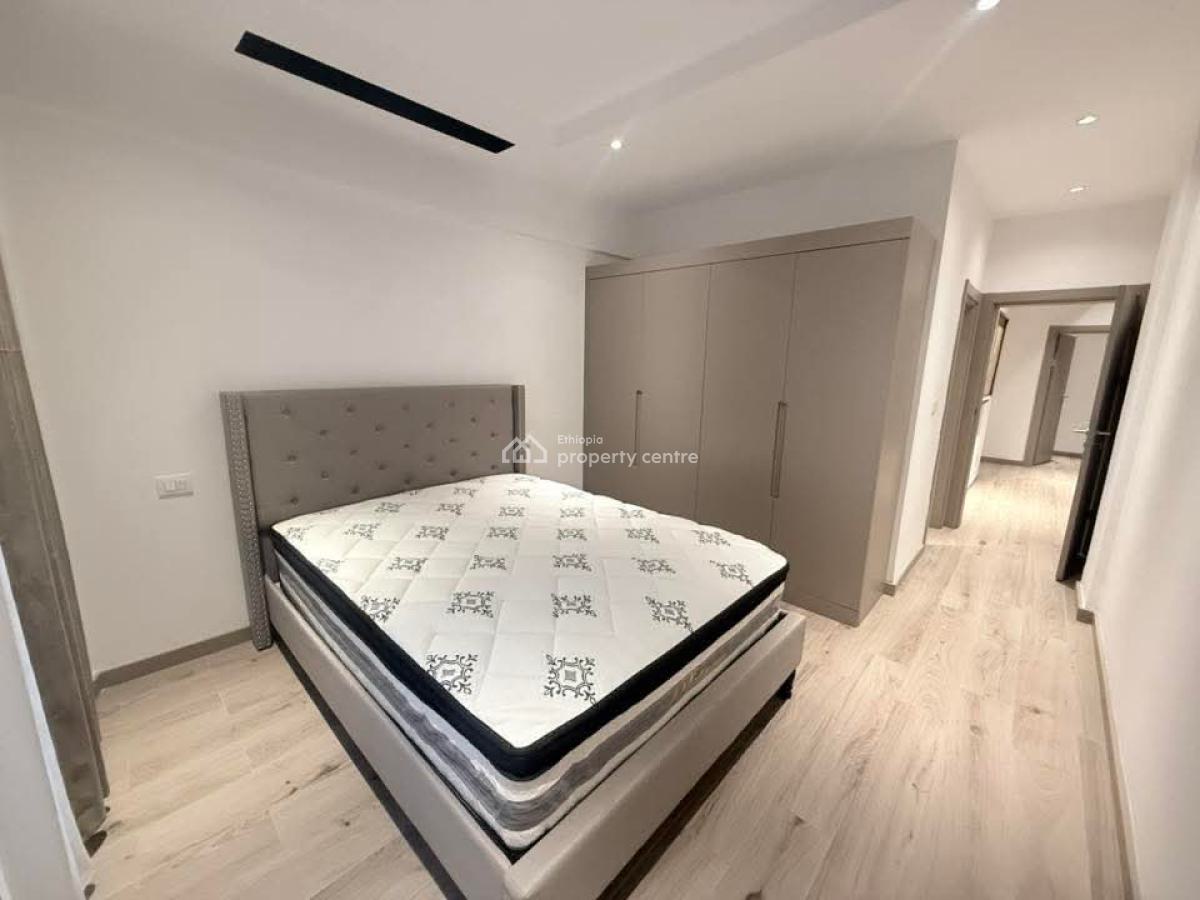 Luxury Furnished Apartment in Bole -- Long-term Only, Bole, Addis Ababa, Apartment for Rent