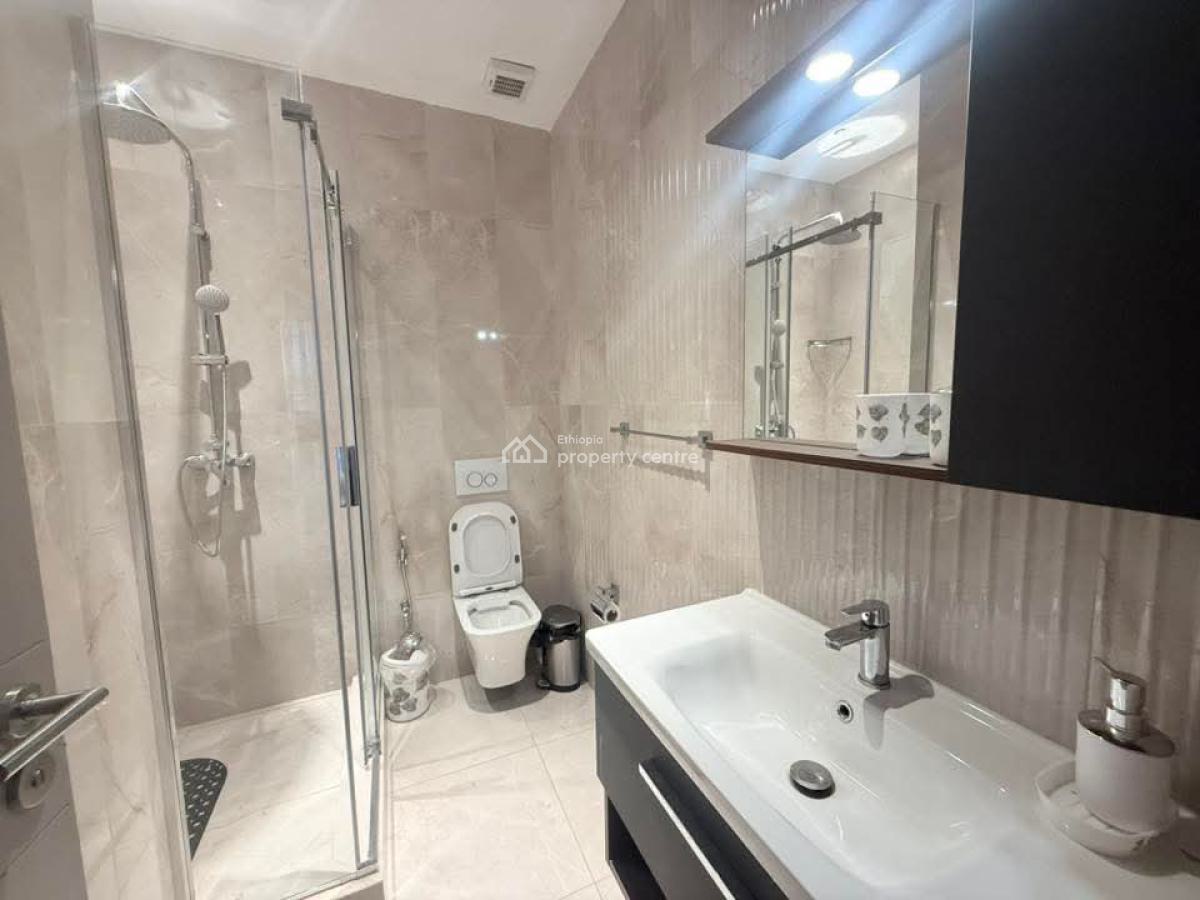 Luxury Furnished Apartment in Bole -- Long-term Only, Bole, Addis Ababa, Apartment for Rent