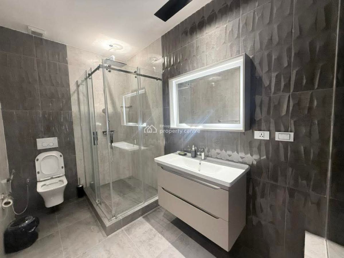 Luxury Furnished Apartment in Bole -- Long-term Only, Bole, Addis Ababa, Apartment for Rent