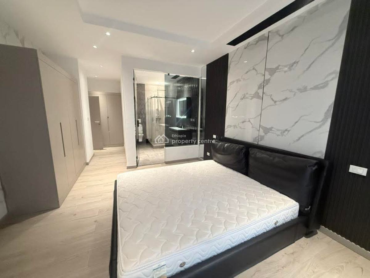Luxury Furnished Apartment in Bole -- Long-term Only, Bole, Addis Ababa, Apartment for Rent