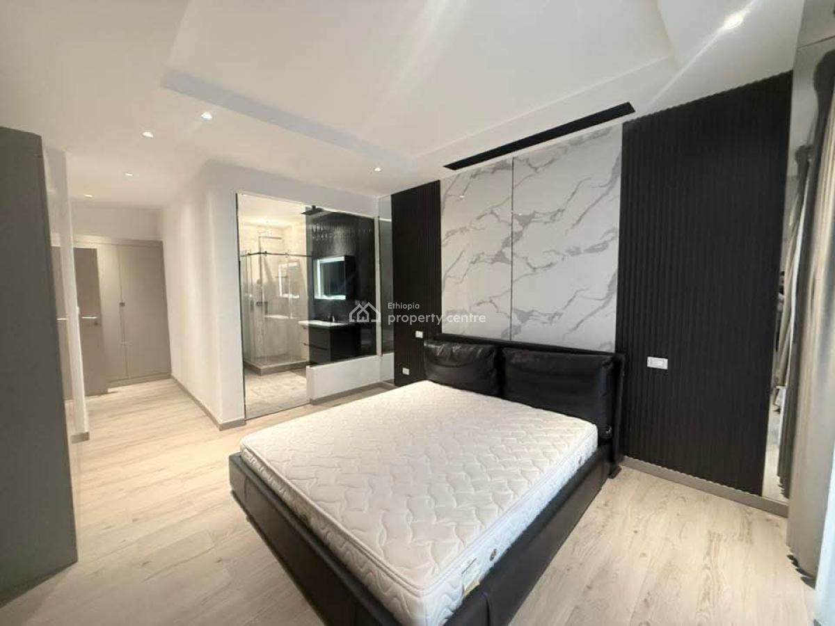 Luxury Furnished Apartment in Bole -- Long-term Only, Bole, Addis Ababa, Apartment for Rent