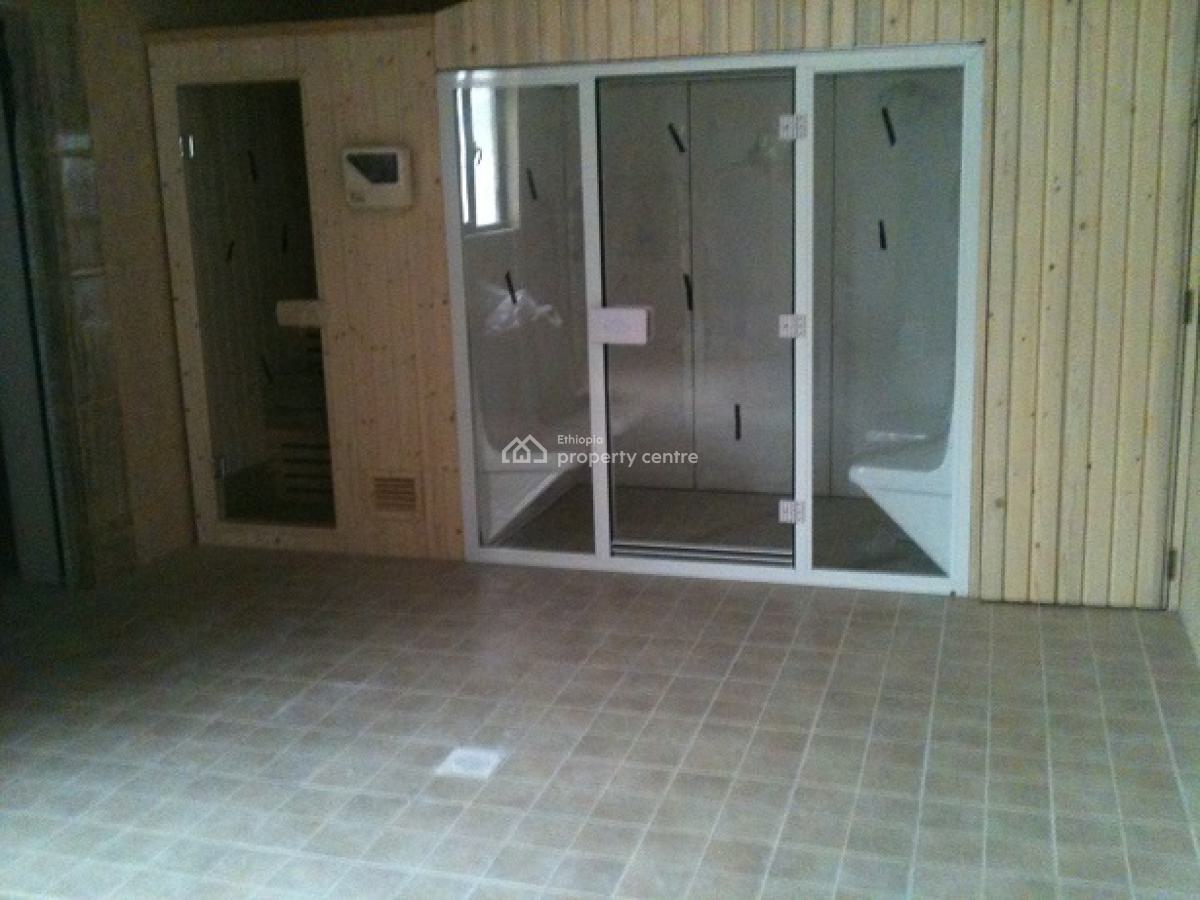 Luxurious & Furnished 3bd Apartment , at Bole., Bole, Addis Ababa, Apartment for Rent