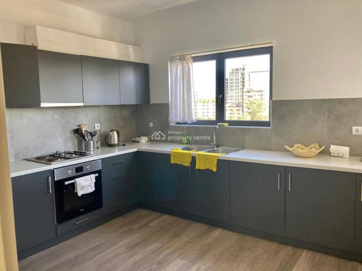 Cute, Fully Furnished  3 Bed Room Apartment., Bole, Addis Ababa, Apartment for Rent