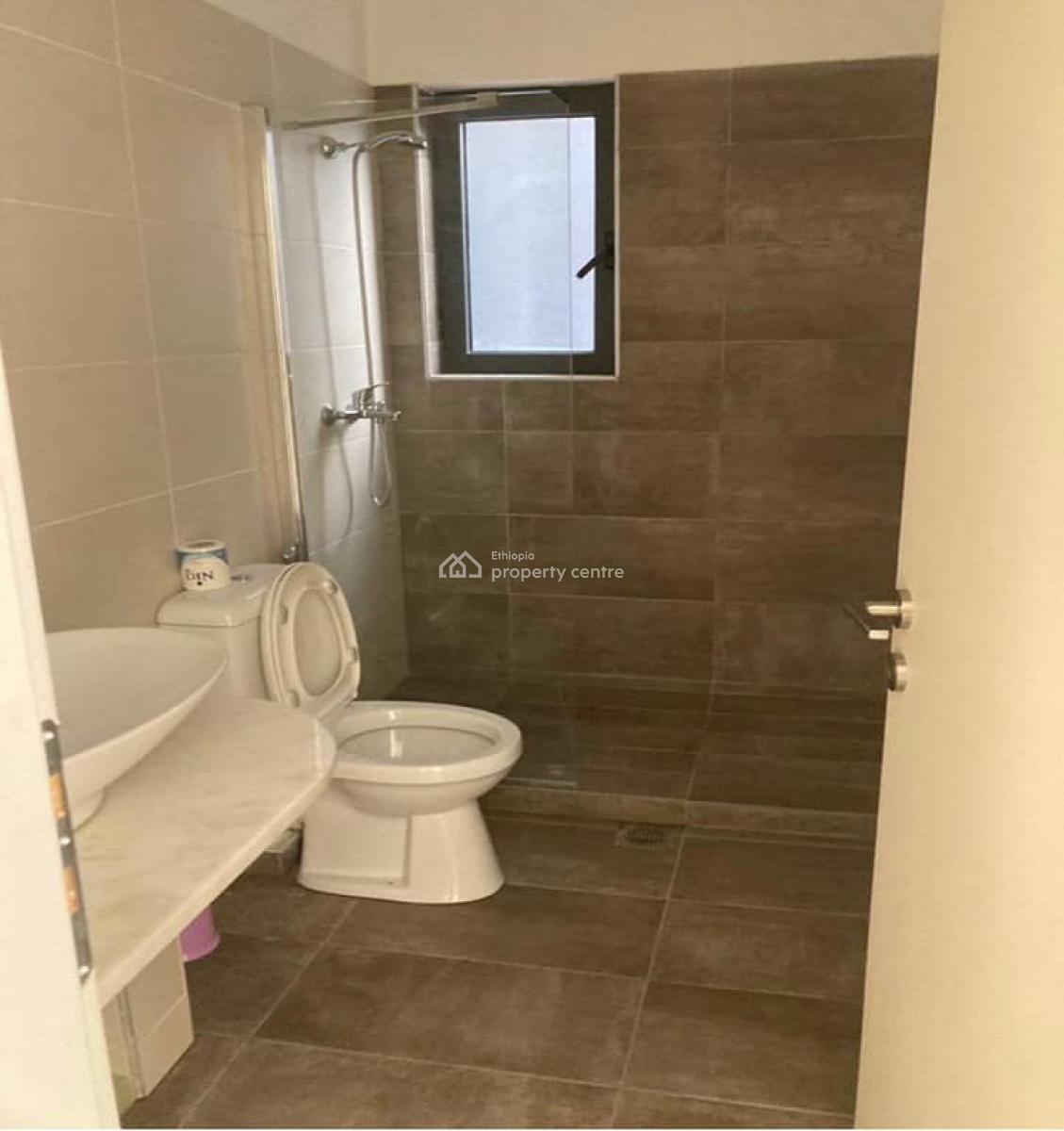 Cute, Fully Furnished  3 Bed Room Apartment., Bole, Addis Ababa, Apartment for Rent