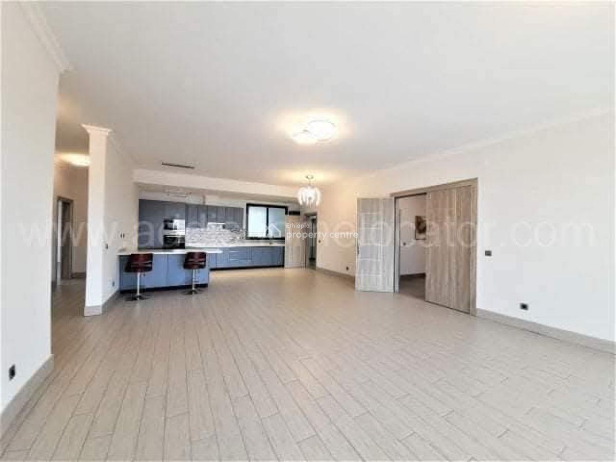 Luxurious Apartment with Stunning City Views  Old Airport, Kirkos, Addis Ababa, Apartment for Rent