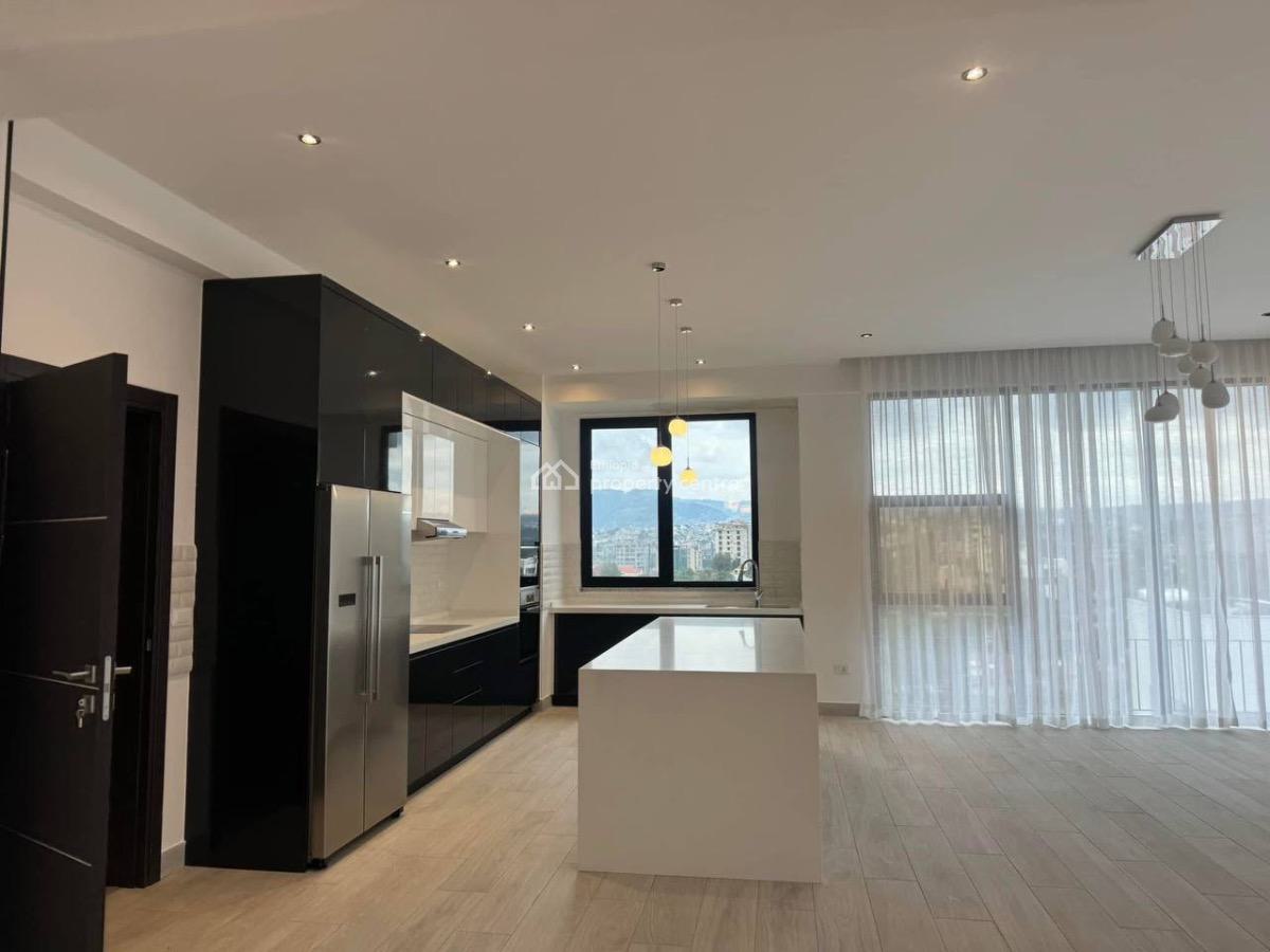 Luxurious 3 Bedroom Apartment, Oldairport, Lideta, Addis Ababa, Apartment for Rent