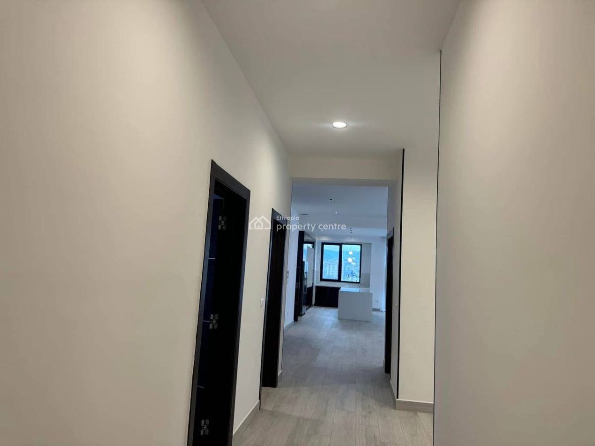 Luxurious 3 Bedroom Apartment, Oldairport, Lideta, Addis Ababa, Apartment for Rent