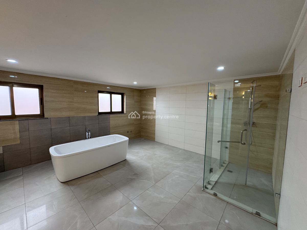 As Pretty As a Picture 3 Bedroom Duplex Penthouse, Adjacent to Bole Road, Bole, Addis Ababa, Apartment for Rent