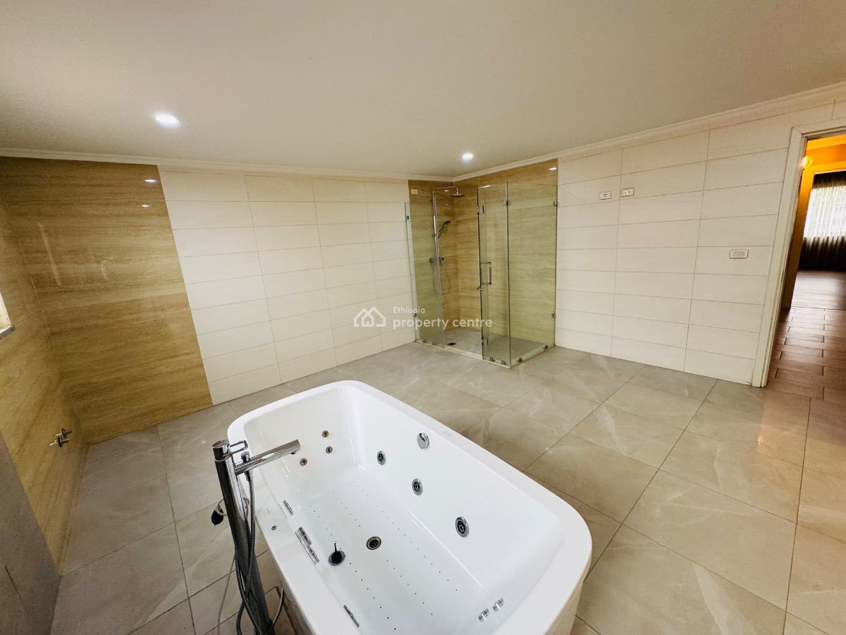 As Pretty As a Picture 3 Bedroom Duplex Penthouse, Adjacent to Bole Road, Bole, Addis Ababa, Apartment for Rent