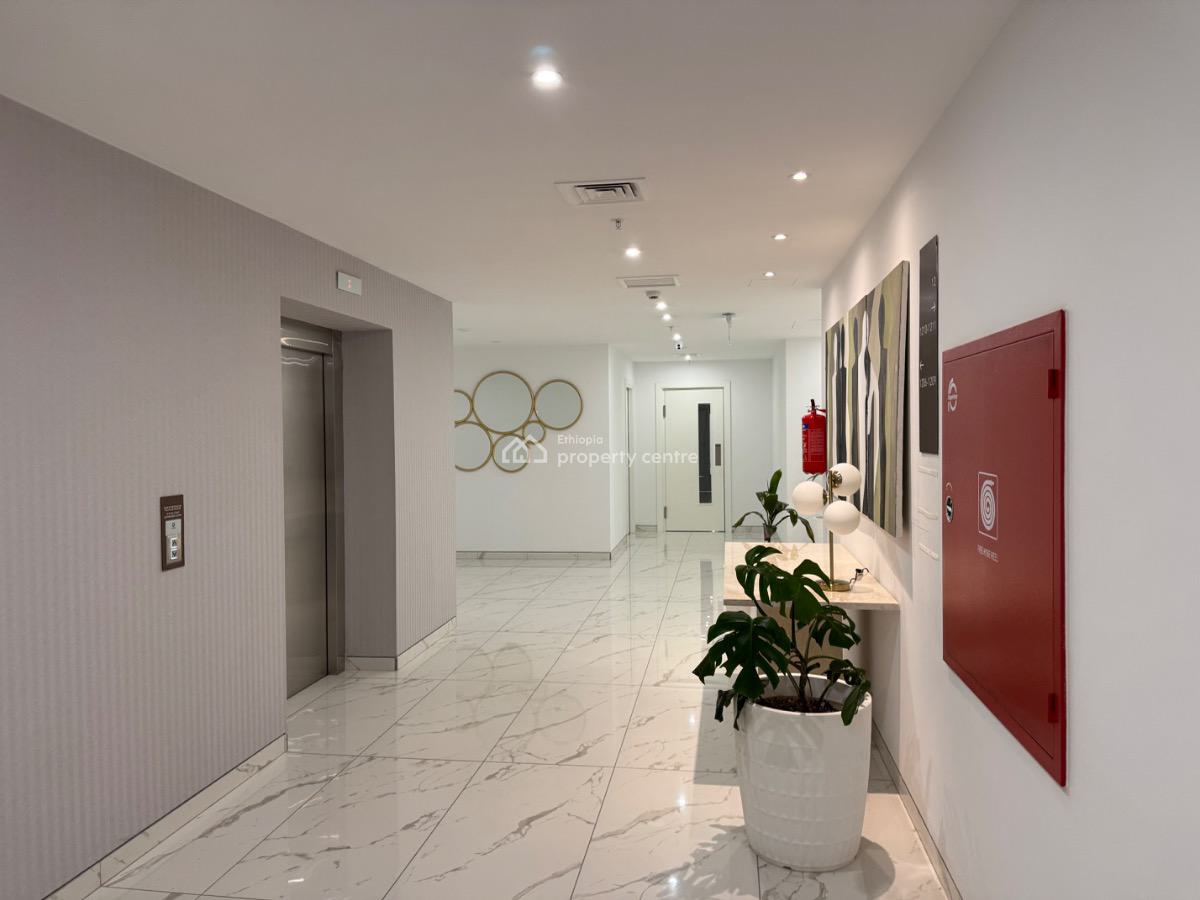 Modern 3 Bedroom Apartment, Meskel Square, Kirkos, Addis Ababa, Apartment for Rent