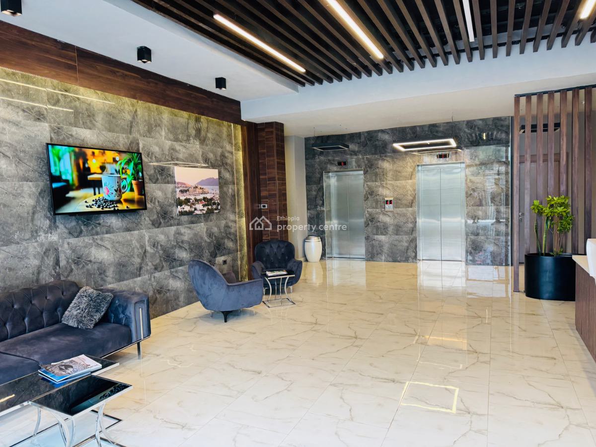 Elegant 2 Bedroom Fully Furnished Apartment, Bole Olompia, Kirkos, Addis Ababa, Apartment for Rent