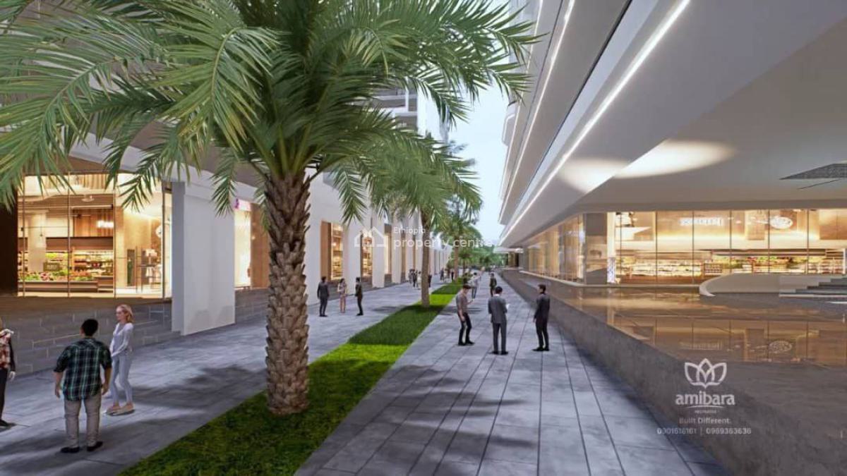 Luxury Residential Properties in Ethiopia, Filwuha / Amibara Properties, Arada, Addis Ababa, Apartment for Sale