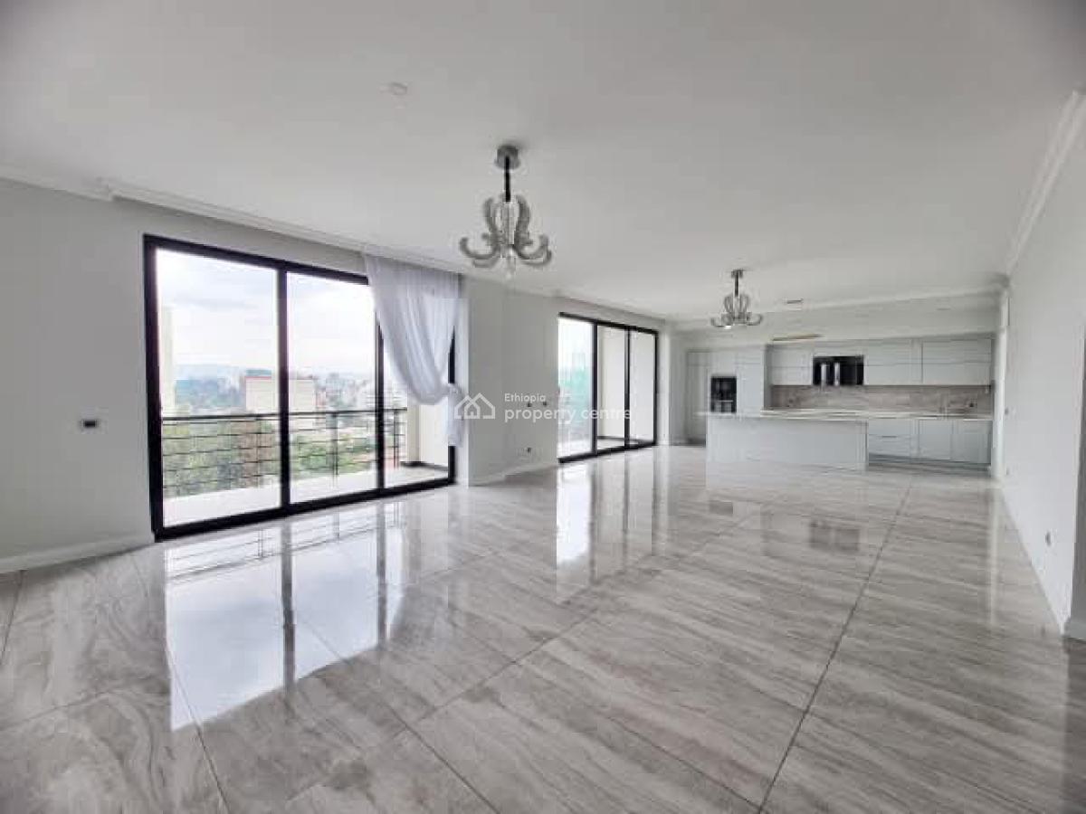 Luxury Apartment -- Near Undp, Unhcr.., Kirkos, Addis Ababa, Apartment for Rent