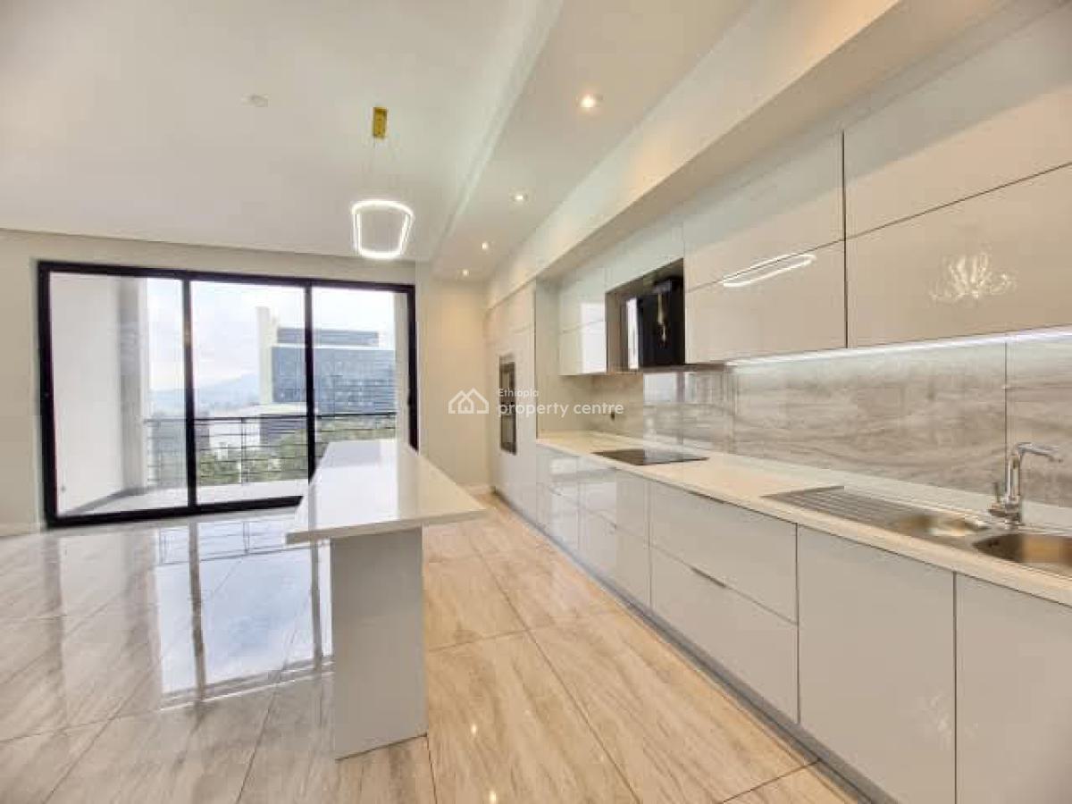 Luxury Apartment -- Near Undp, Unhcr.., Kirkos, Addis Ababa, Apartment for Rent