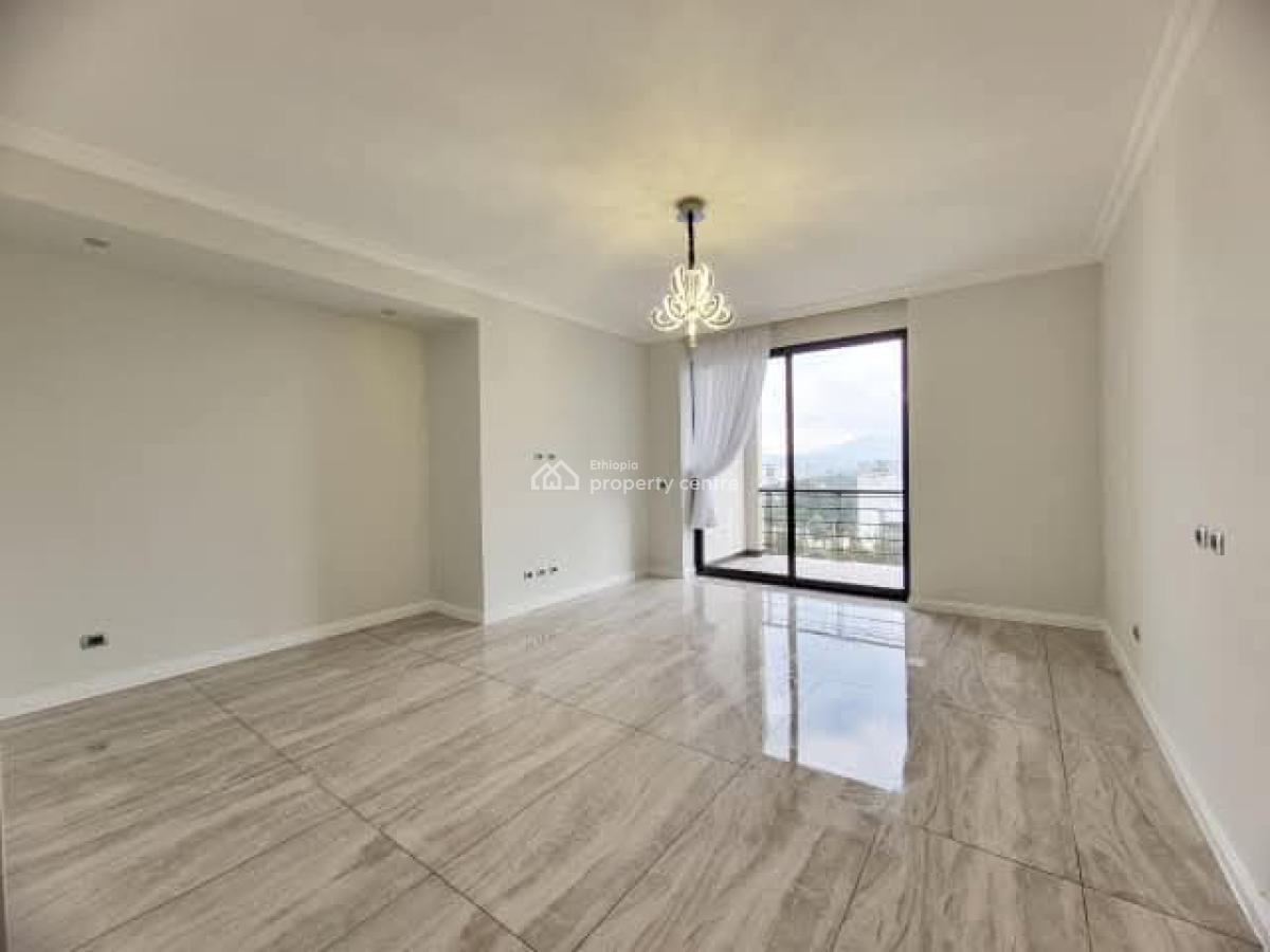 Luxury Apartment -- Near Undp, Unhcr.., Kirkos, Addis Ababa, Apartment for Rent