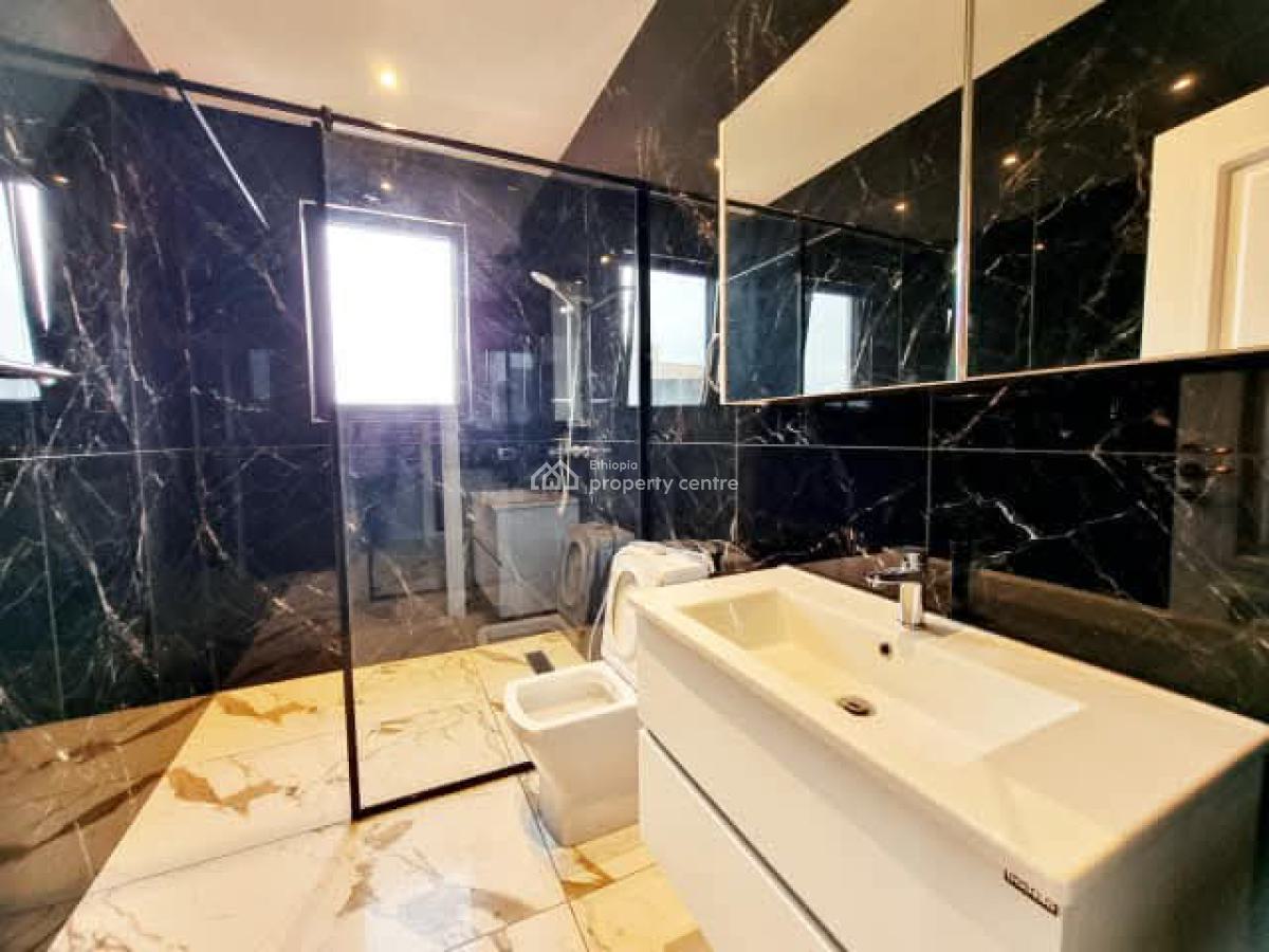 Luxury Apartment -- Near Undp, Unhcr.., Kirkos, Addis Ababa, Apartment for Rent