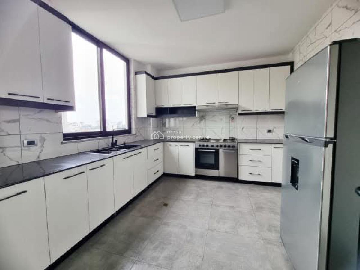 Luxury Apartment -- Near Undp, Unhcr.., Kirkos, Addis Ababa, Apartment for Rent