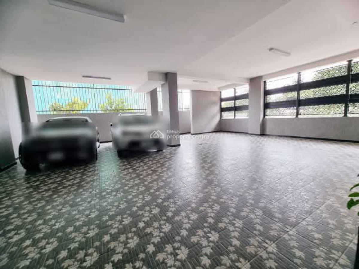 Luxury Apartment -- Near Undp, Unhcr.., Kirkos, Addis Ababa, Apartment for Rent