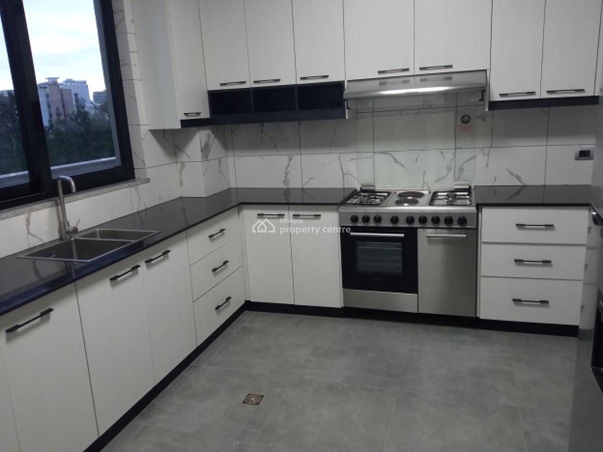 Very Bright, New, High Quality and Fully Furnished 3bd Apartment!, Bole, Addis Ababa, Apartment for Rent