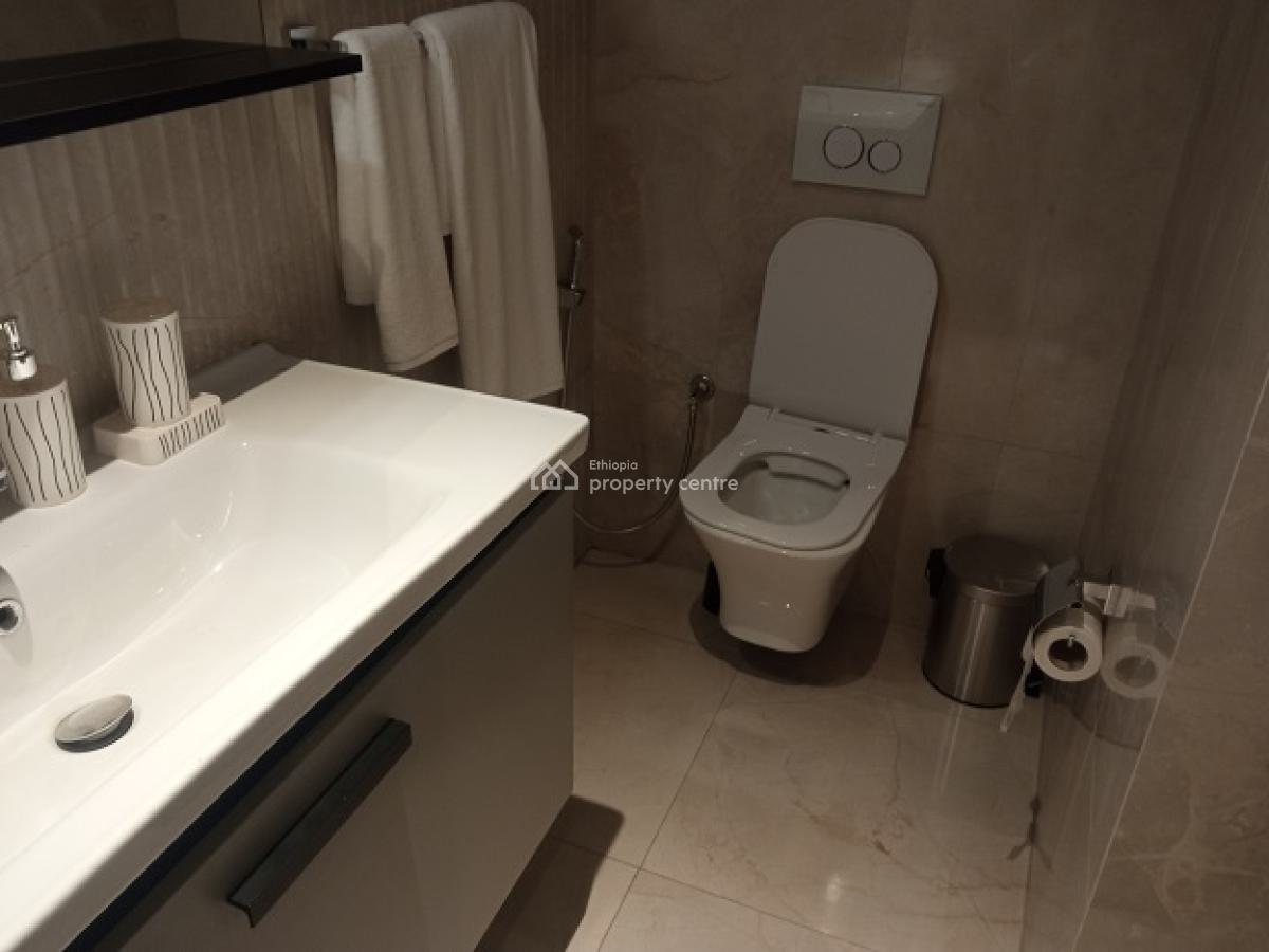 Super Cute! Fully Furnished and Highly Secured 3 Bd Apartment., Bole, Addis Ababa, Apartment for Rent
