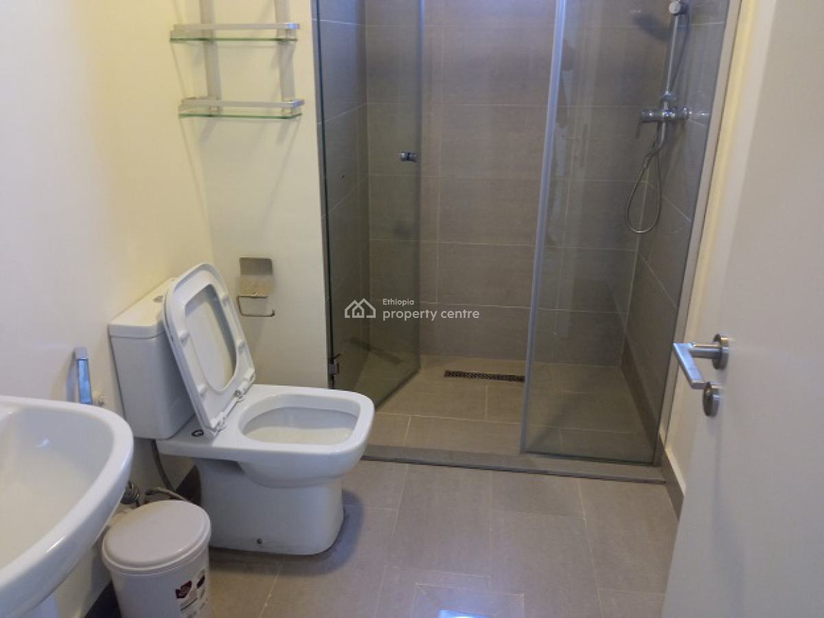 a Beautifully Furnished 3bd Apartment, Kazanchis (un Eca), Kza323, Kazanchis, Addis Ababa, Apartment for Rent