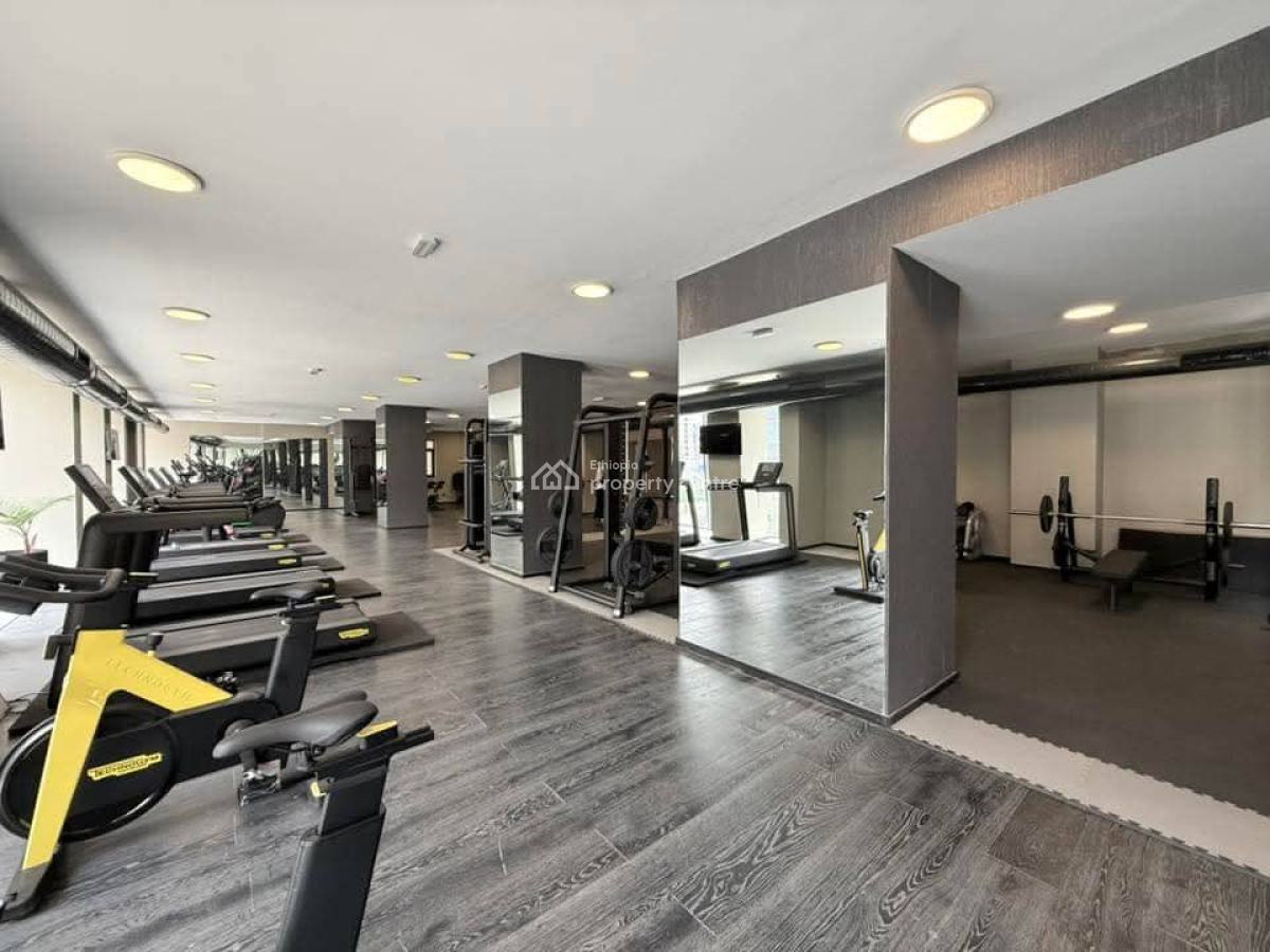 Luxurious Apartment in Kazanchis, Kirkos, Addis Ababa, Apartment for Rent