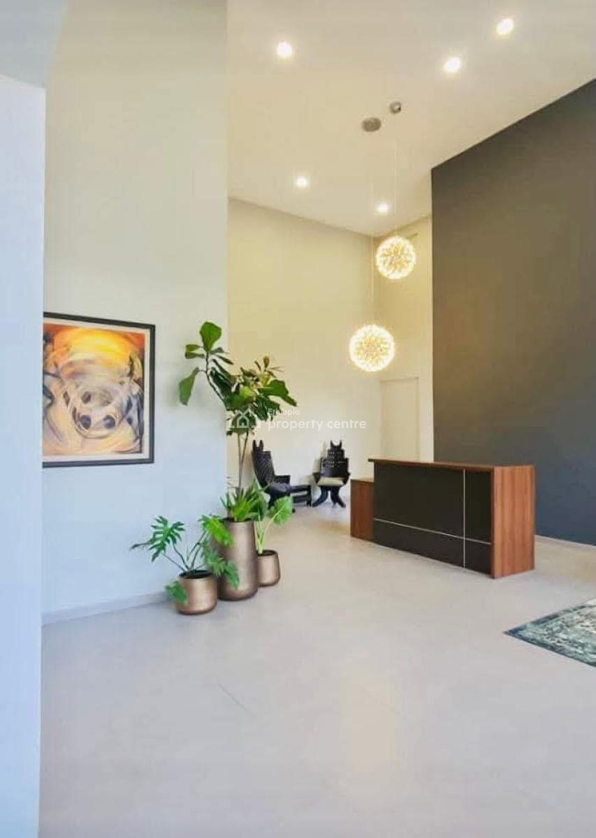 Modern Cozy Apartment in Bole, Bole, Addis Ababa, Apartment for Rent