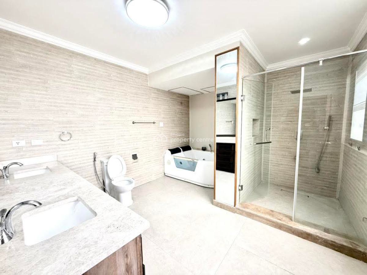Spacious Furnished Apartment -- Prime Location in Bole, Bole, Addis Ababa, Apartment for Rent